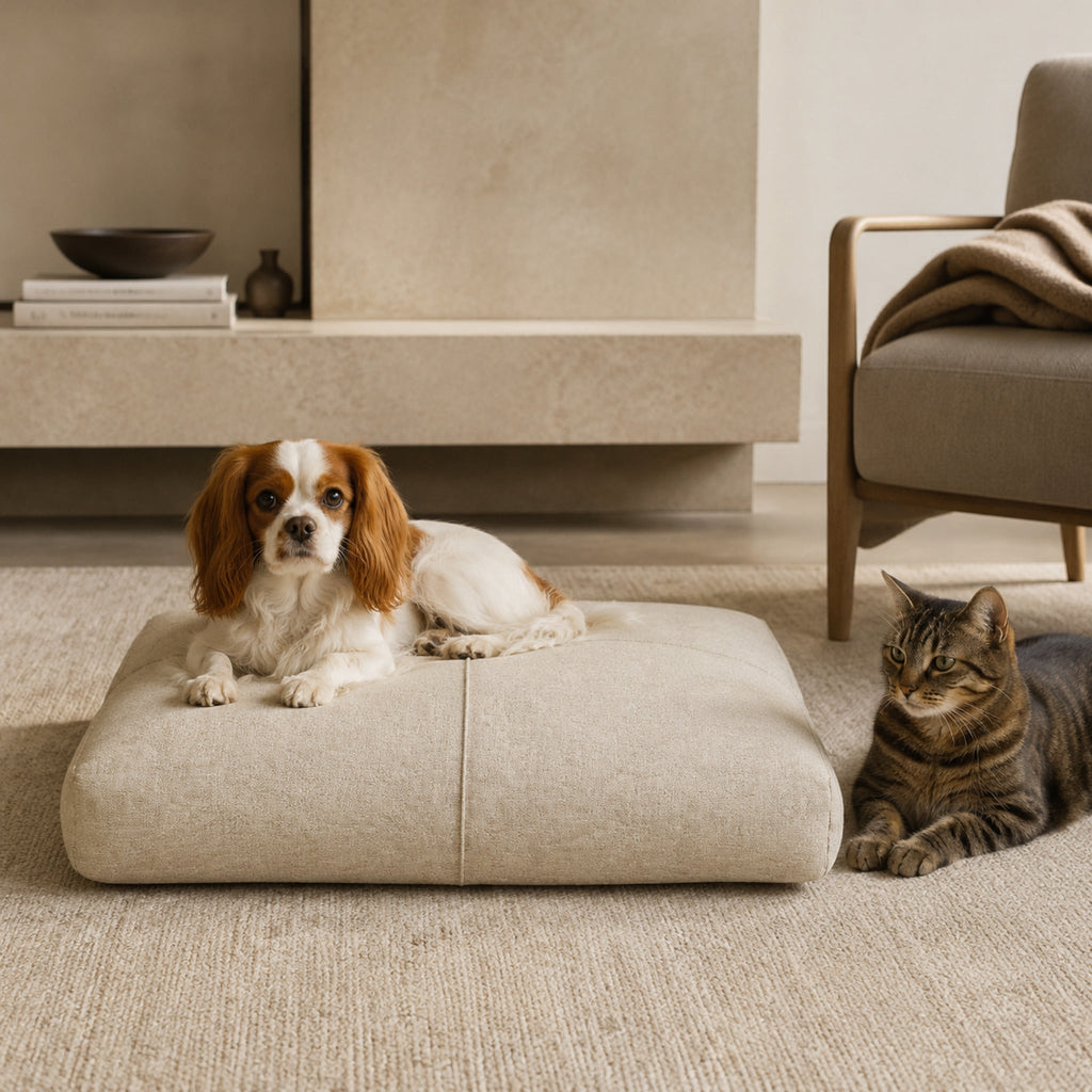 Finno Hundekissen Beige mit Hund und Katze in stilvoller Wohnatmosphäre
