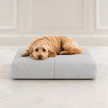 Finno Hundekissen in Grau mit Cockapoo im hellen Premium-Studio