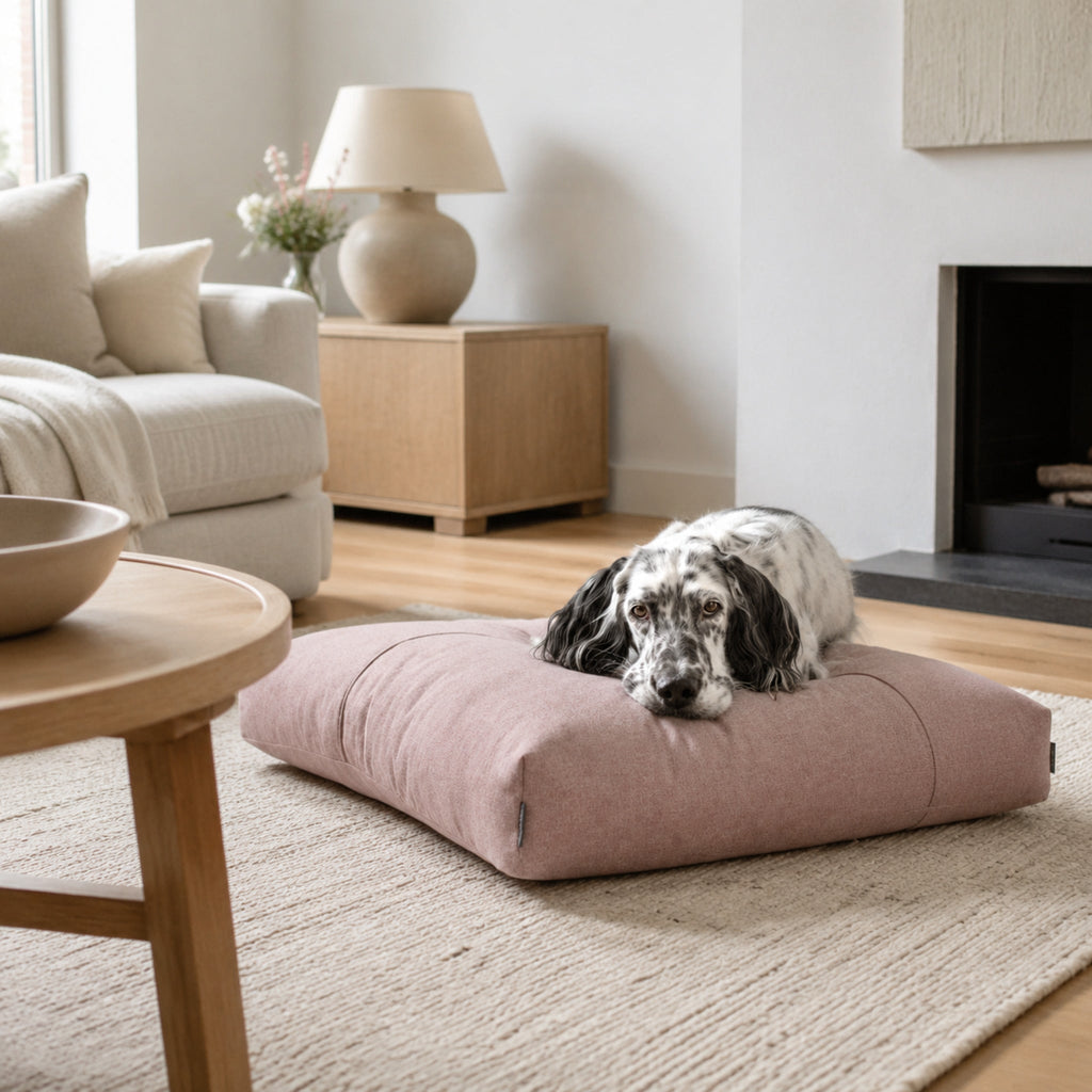 Rosafarbenes Finno Hundekissen mit Hund im modernen Wohnzimmer