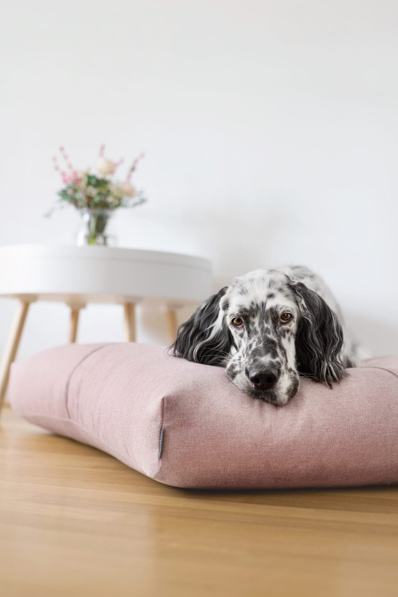 Finno Hundekissen in Rosa – Gesamtansicht