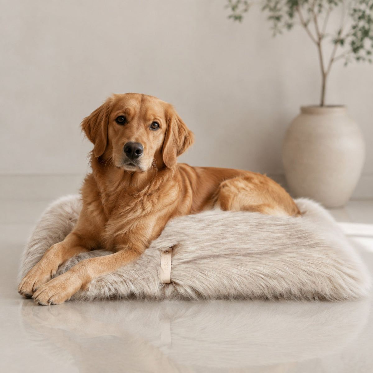 Föra Wendedecke für Hund & Katze – Cappuccino – Premium Studioaufnahme auf reflektierendem Boden