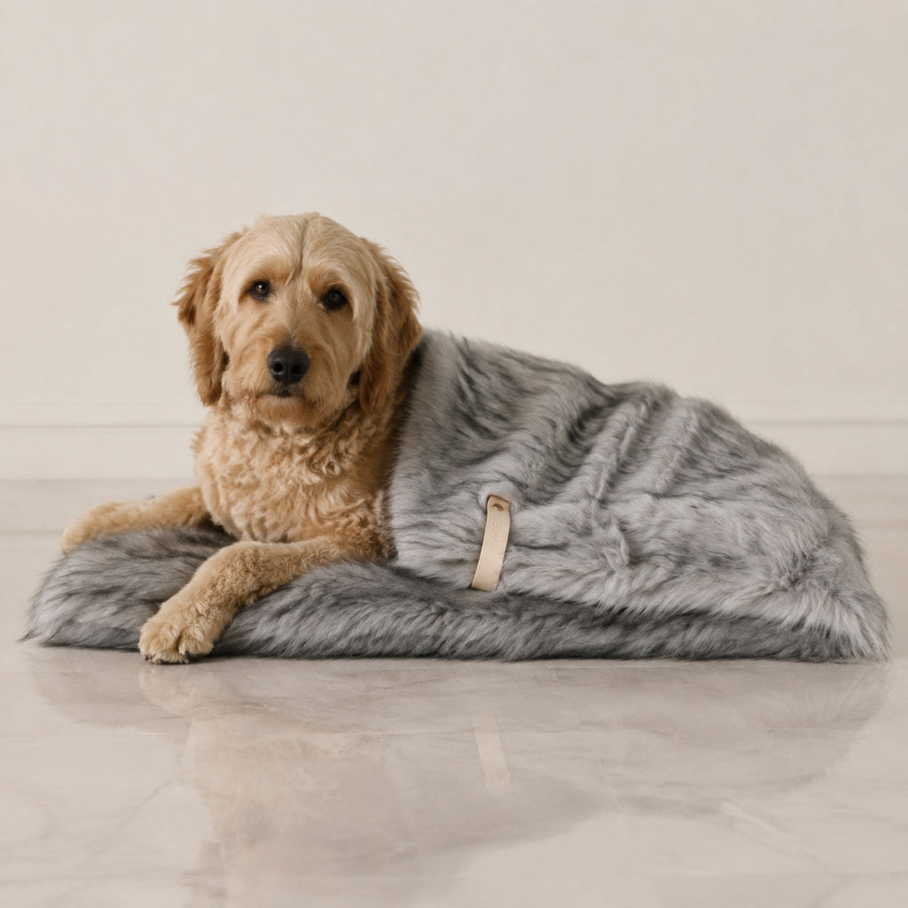 Föra Wendedecke für Hund & Katze – Silber – Premium Studioaufnahme auf reflektierendem Boden
