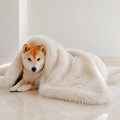 Föra Wendedecke in Weiß mit Shiba Inu im hellen Premium-Studio