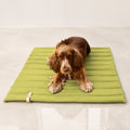 Fosser Hundereisematte Grün mit Cocker Spaniel – Premium Produktfoto