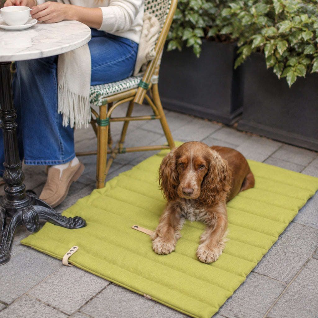 Fosser Reisematte Grün beim Cafébesuch mit Hund