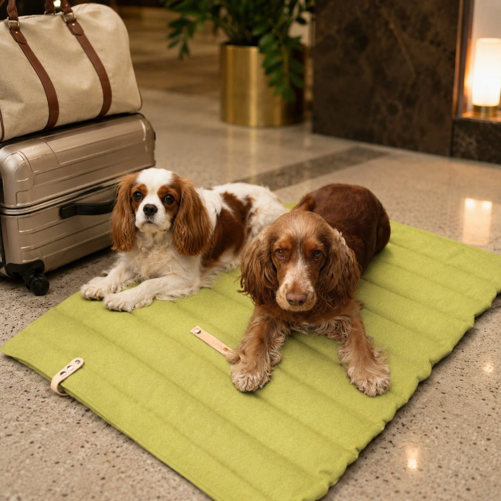 Fosser Hundereisematte Grün für zwei Hunde im Hotel
