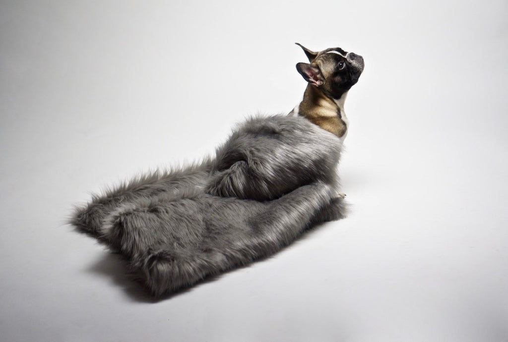 Föra Wendedecke für Hund & Katze – Silber – Ansicht 3