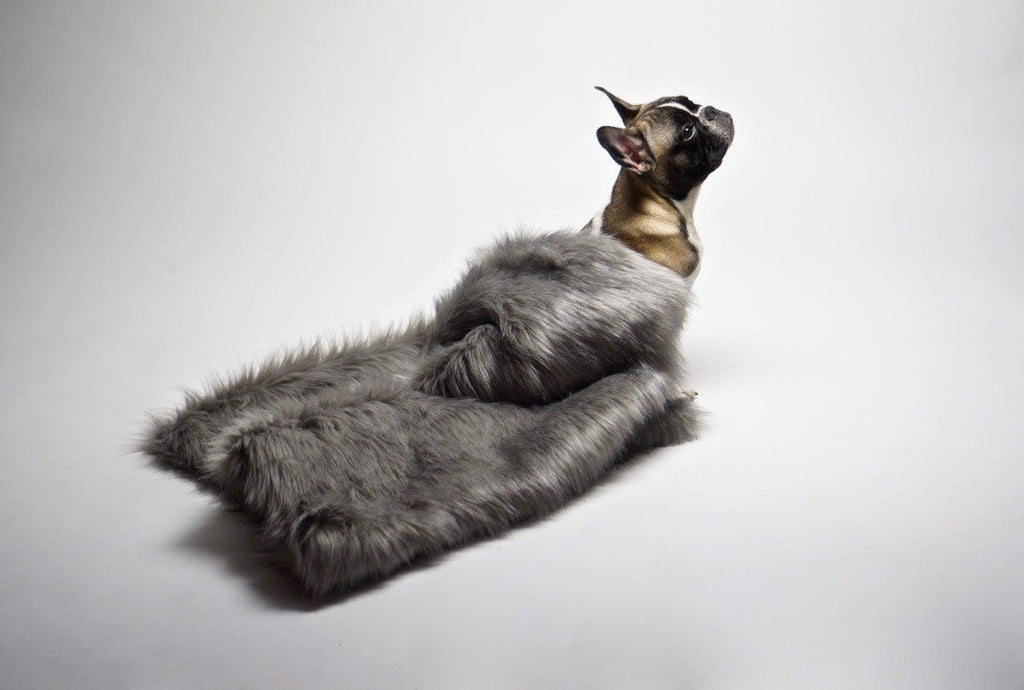 Föra Wendedecke für Hund & Katze – Silber – Ansicht 3