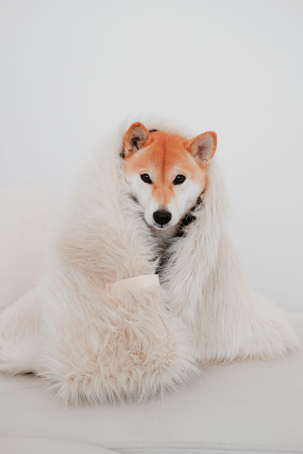 Föra Wendedecke in Weiß für Hund und Katze