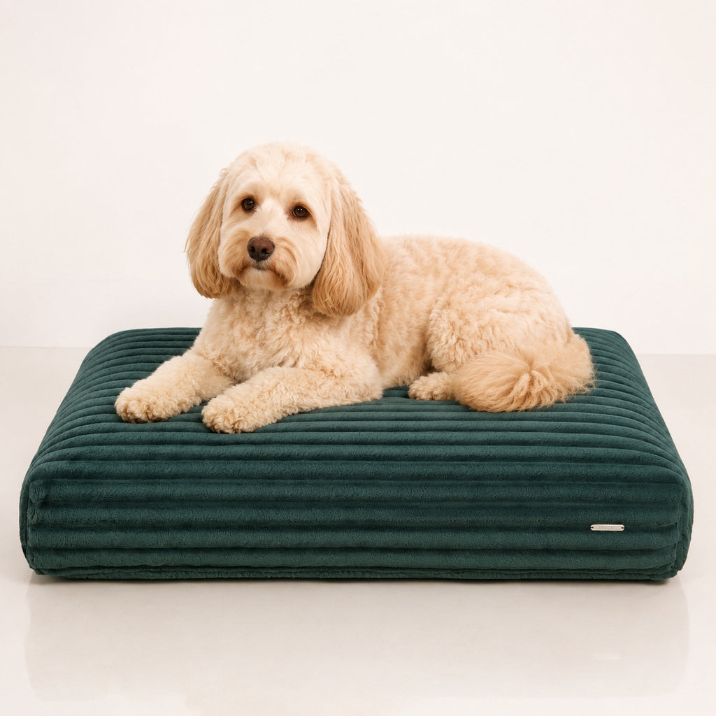 Furo Hundekissen Flaschengrün mit Hund – Premium Produktfoto