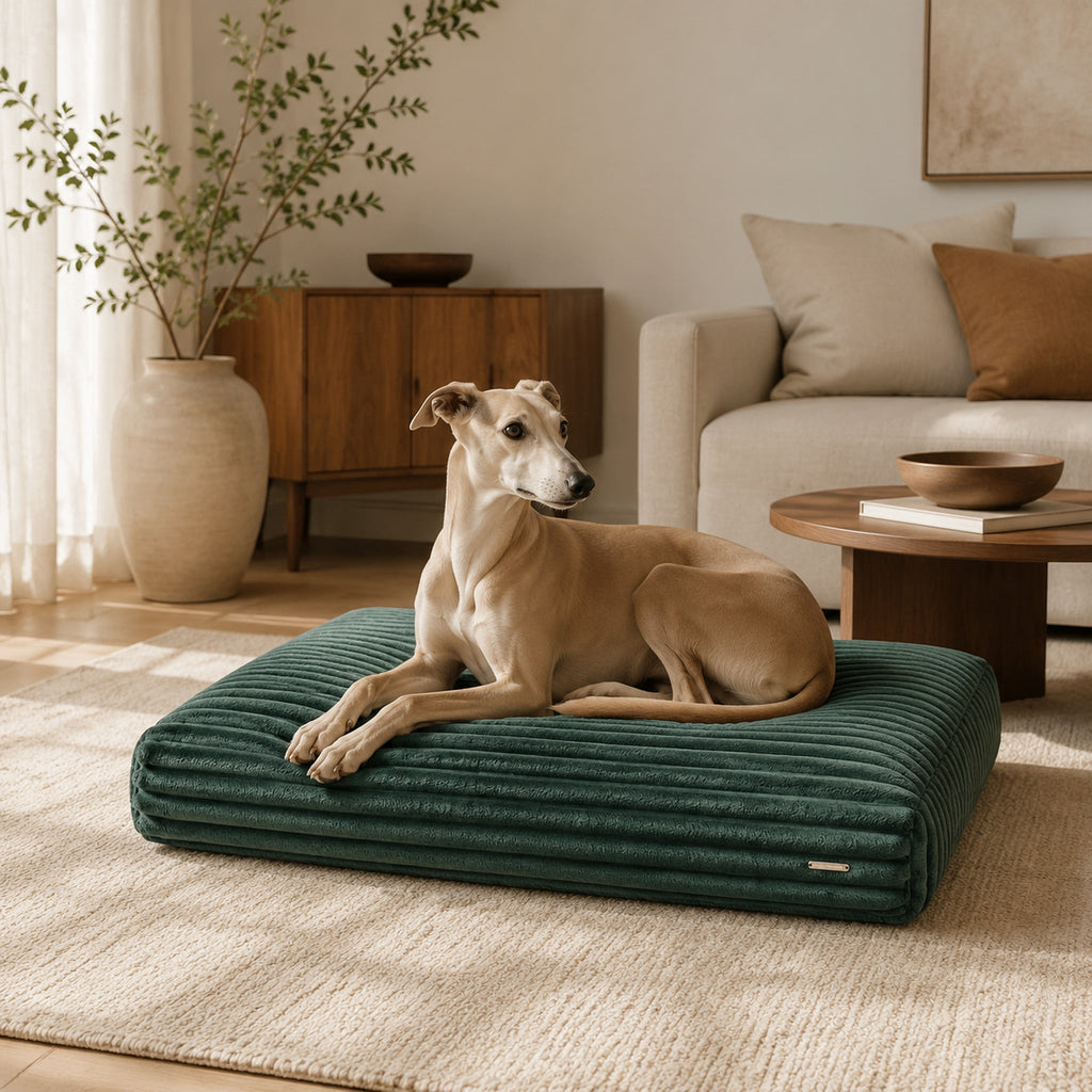 Furo Hundekissen Flaschengrün mit Whippet im eleganten Wohnzimmer