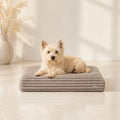 Furo Hundekissen Beige mit Terrier – Premium Produktfoto 2048x2048
