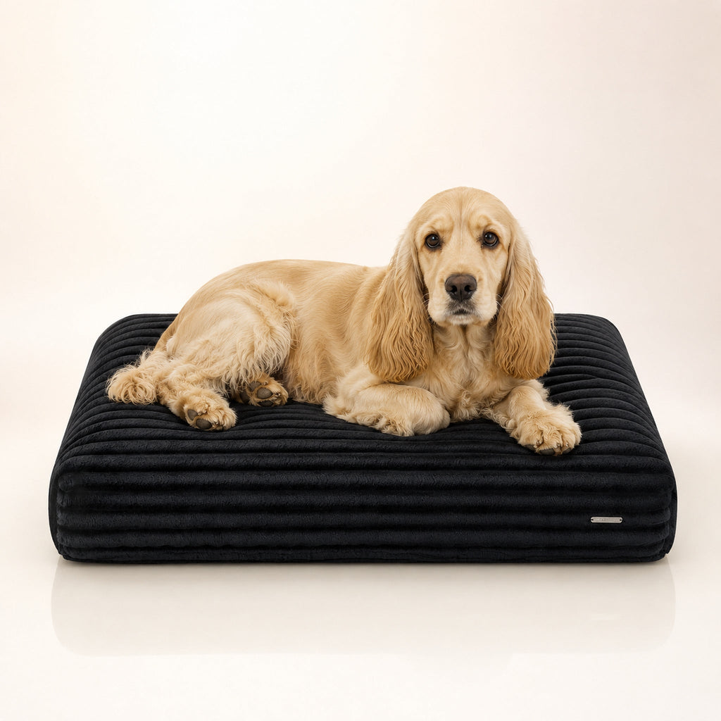 Furo Hundekissen Schwarz mit Hund – Premium Produktfoto 2048x2048