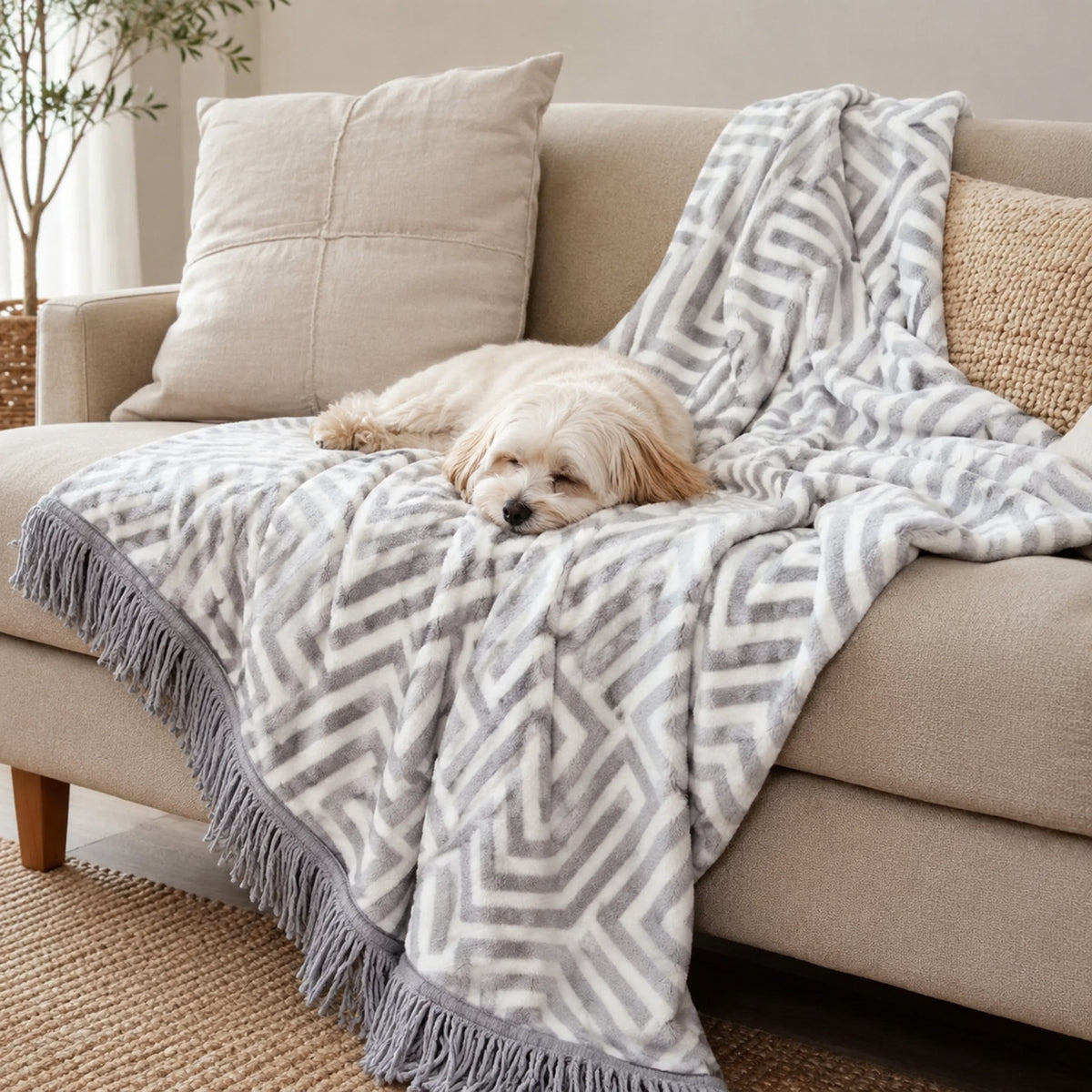 Haakla Haustierdecke auf Sofa mit kleinem Hund