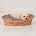 Enovia Hundebett aus Naturweide mit grau-rosa Kissen – 80 × 60 cm – Premium Studioaufnahme auf reflektierendem Boden