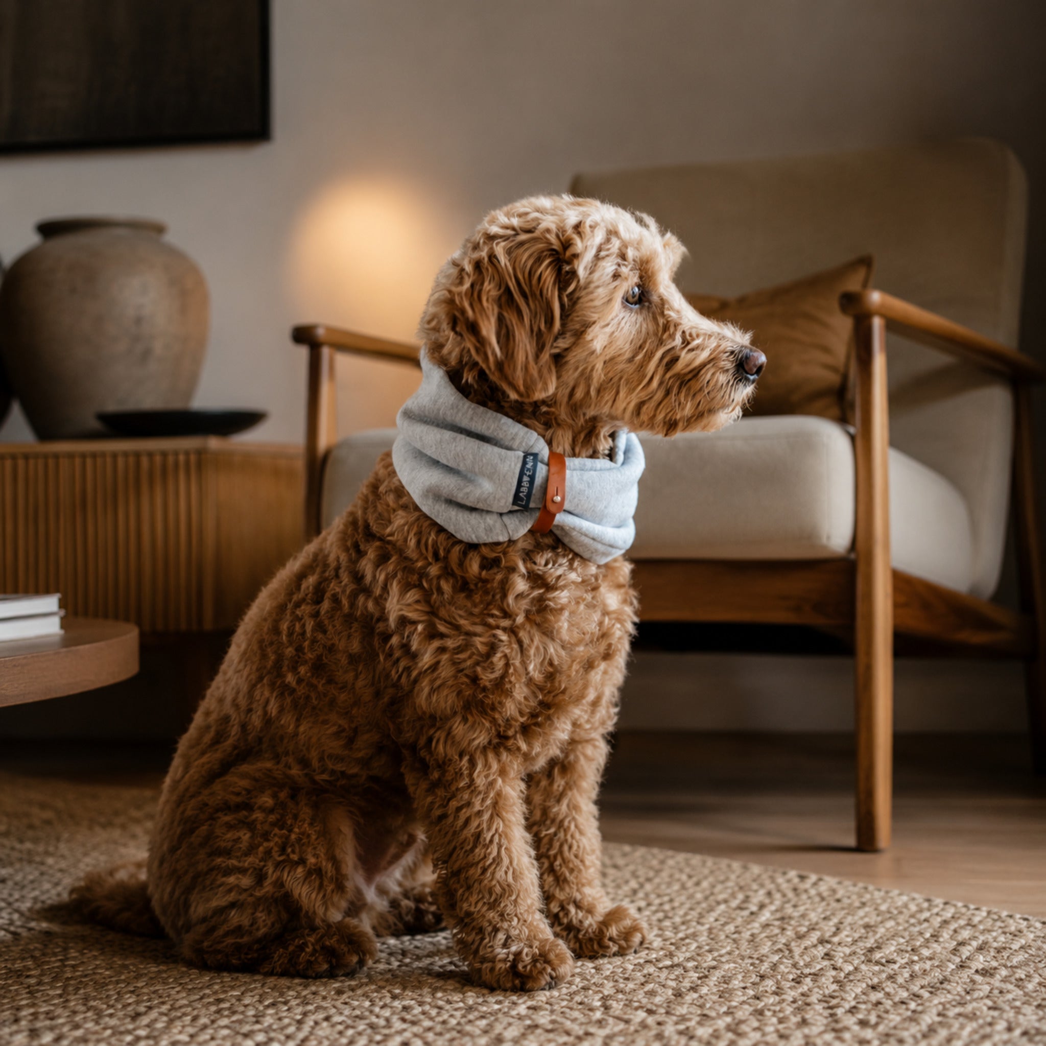 Inko Halswärmer für Hunde – Hellmeliert – Elegante Wohnszene mit Haustier