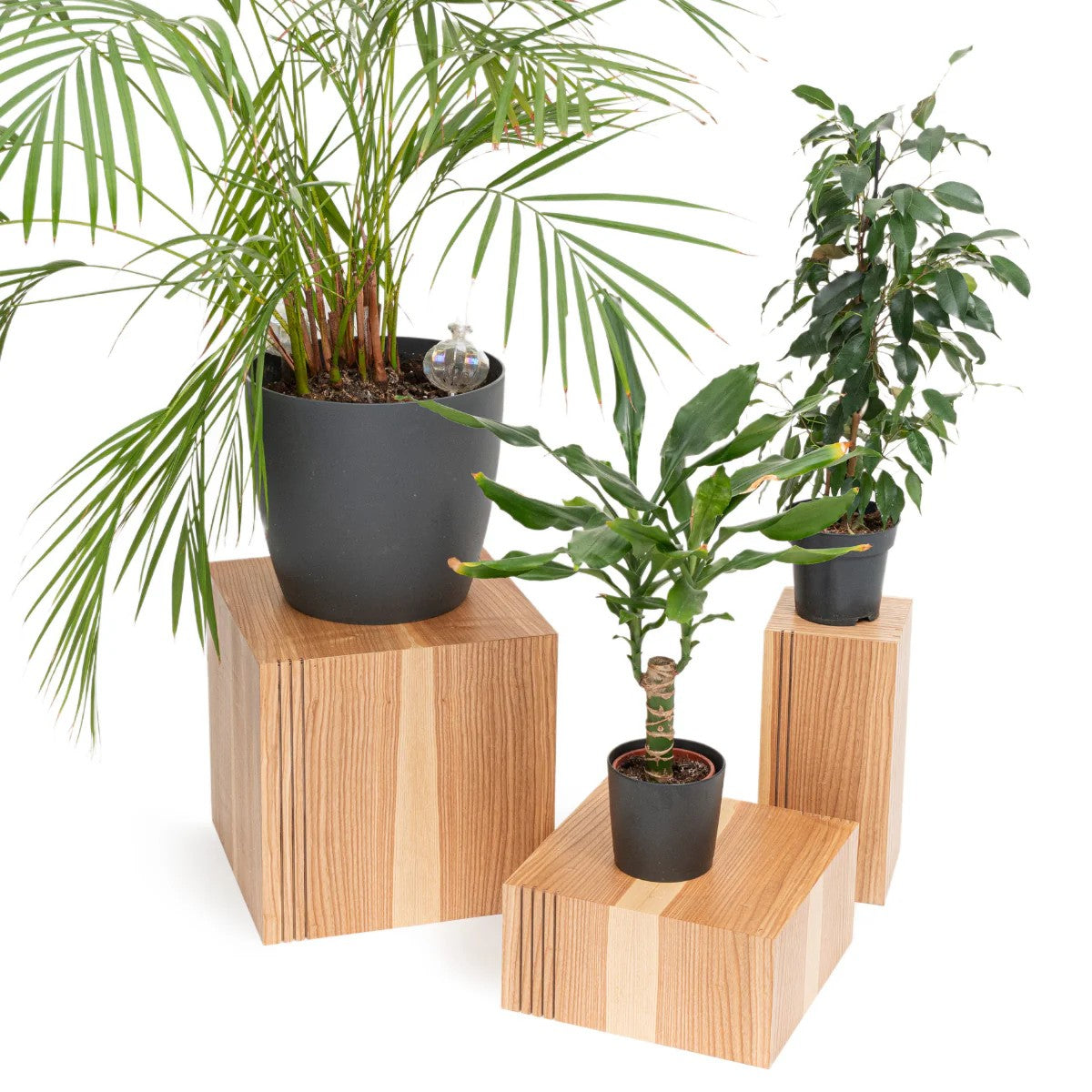 Pflanzenpodeste aus Holz im 3er-Set für moderne Wohnräume