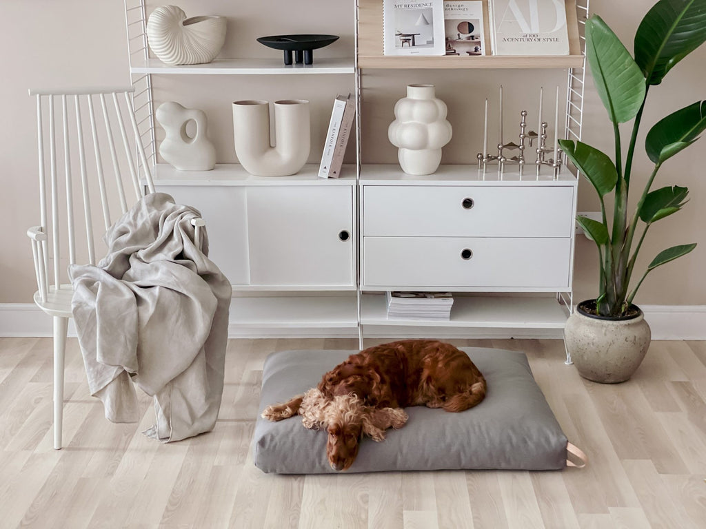 Kiima Hundekissen Dunkelgrau mit Ledergriff