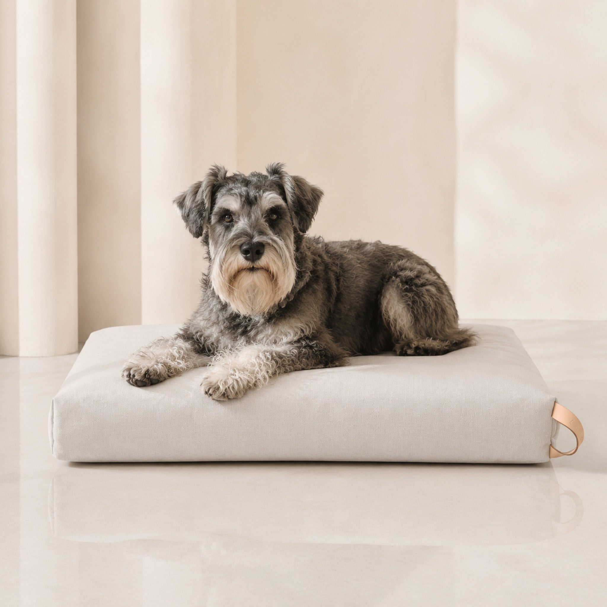 Kiima Hundekissen in Hellbeige mit Schnauzer im hellen Premium-Studio