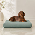 Kiima Hundekissen Soft Teal mit Dackel – Premium Produktfoto 2048x2048