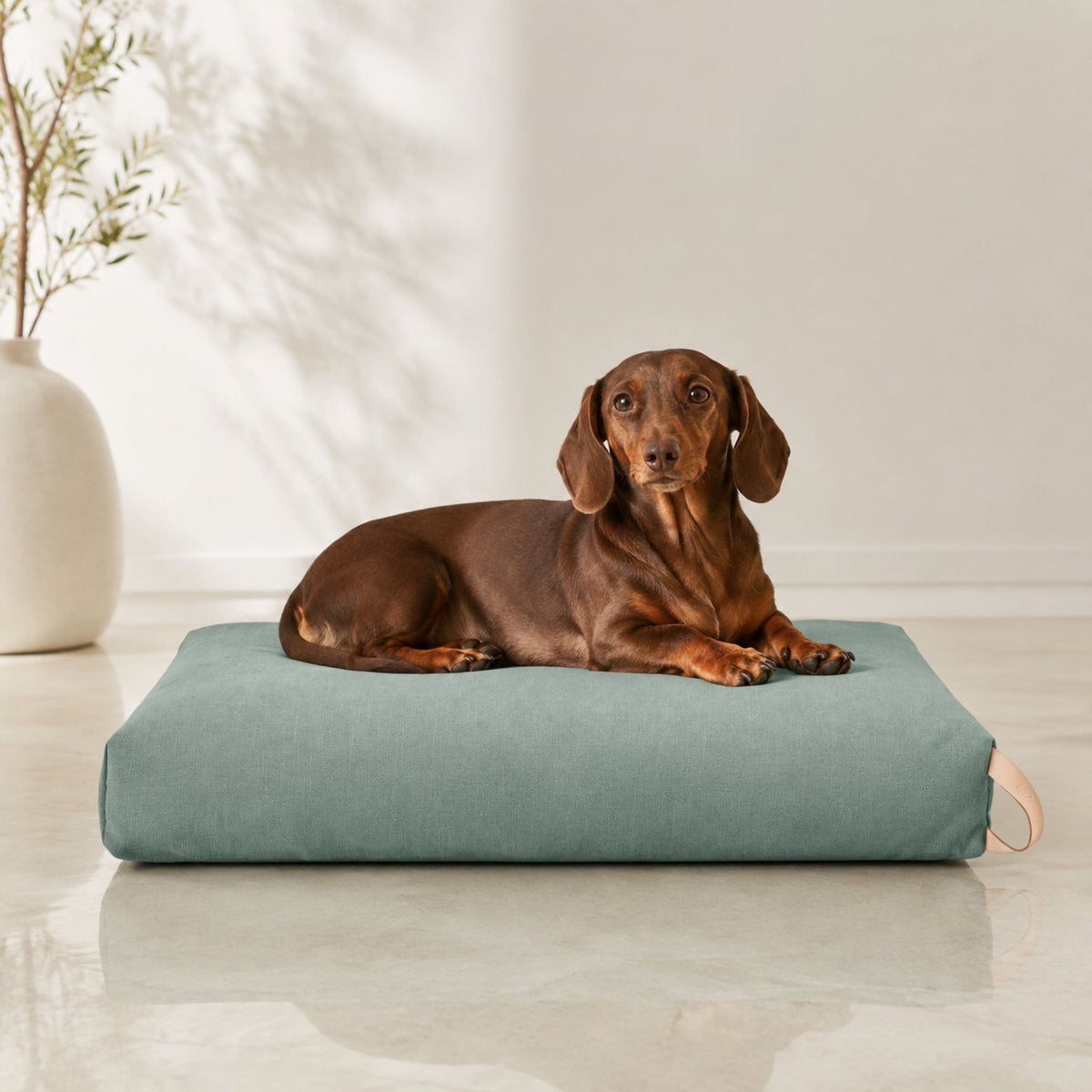 Kiima Hundekissen Soft Teal mit Dackel – Premium Produktfoto 2048x2048