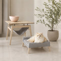 Kikko & Lulu Design-Set für Katzen – Anthrazit – Premium Studioaufnahme auf reflektierendem Boden