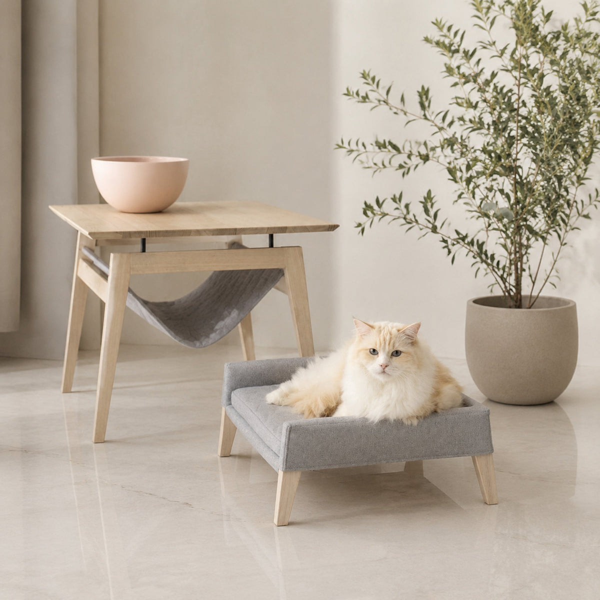 Kikko & Lulu Design-Set für Katzen – Anthrazit – Premium Studioaufnahme auf reflektierendem Boden