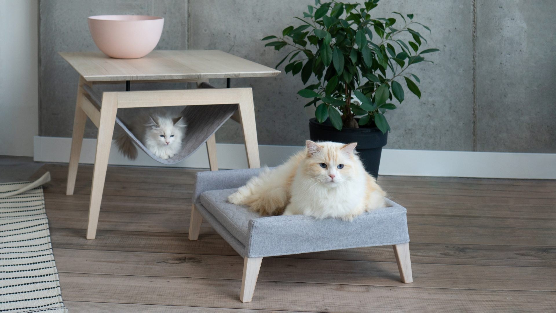 Kikko und Lulu Design-Set für Katzen in Anthrazit – Gesamtansicht