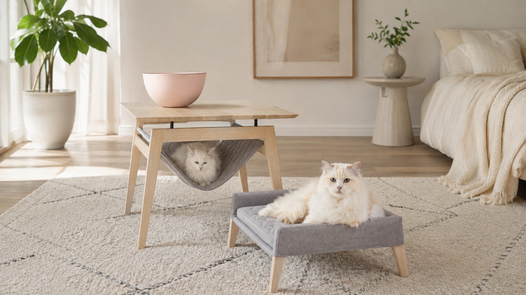 Kikko & Lulu Design-Set für Katzen – Anthrazit – Breite Premium-Wohnszene im Format 16:9