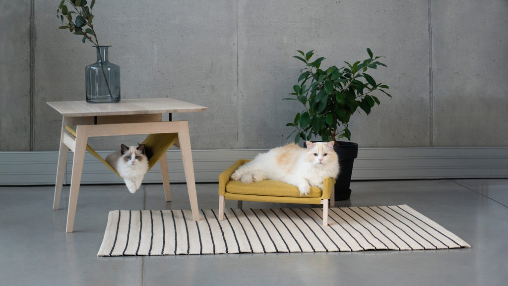 Design-Katzenmöbel Set Kikko und Lulu in modernem Wohnraum