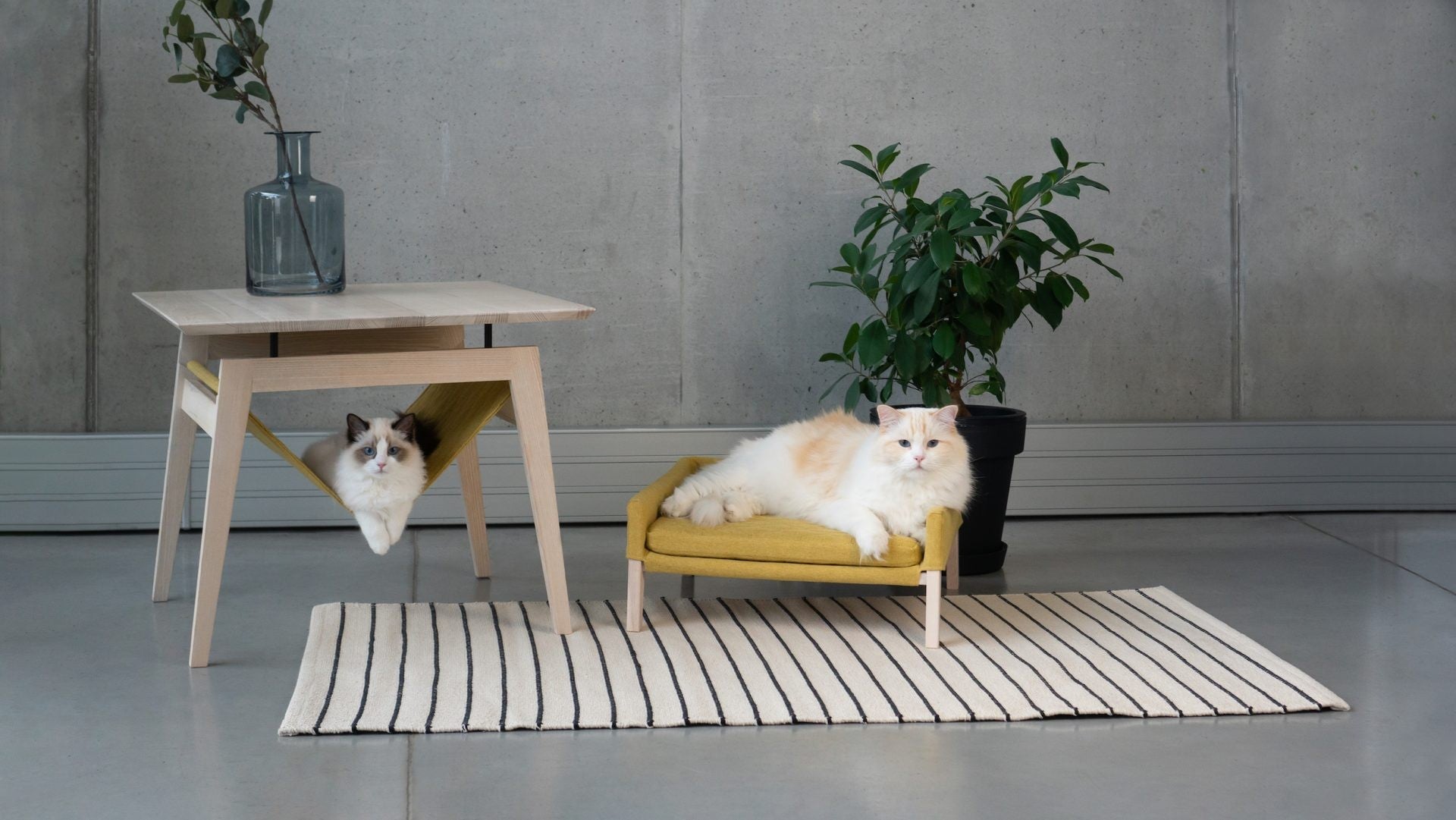 Design-Katzenmöbel Set Kikko und Lulu in modernem Wohnraum