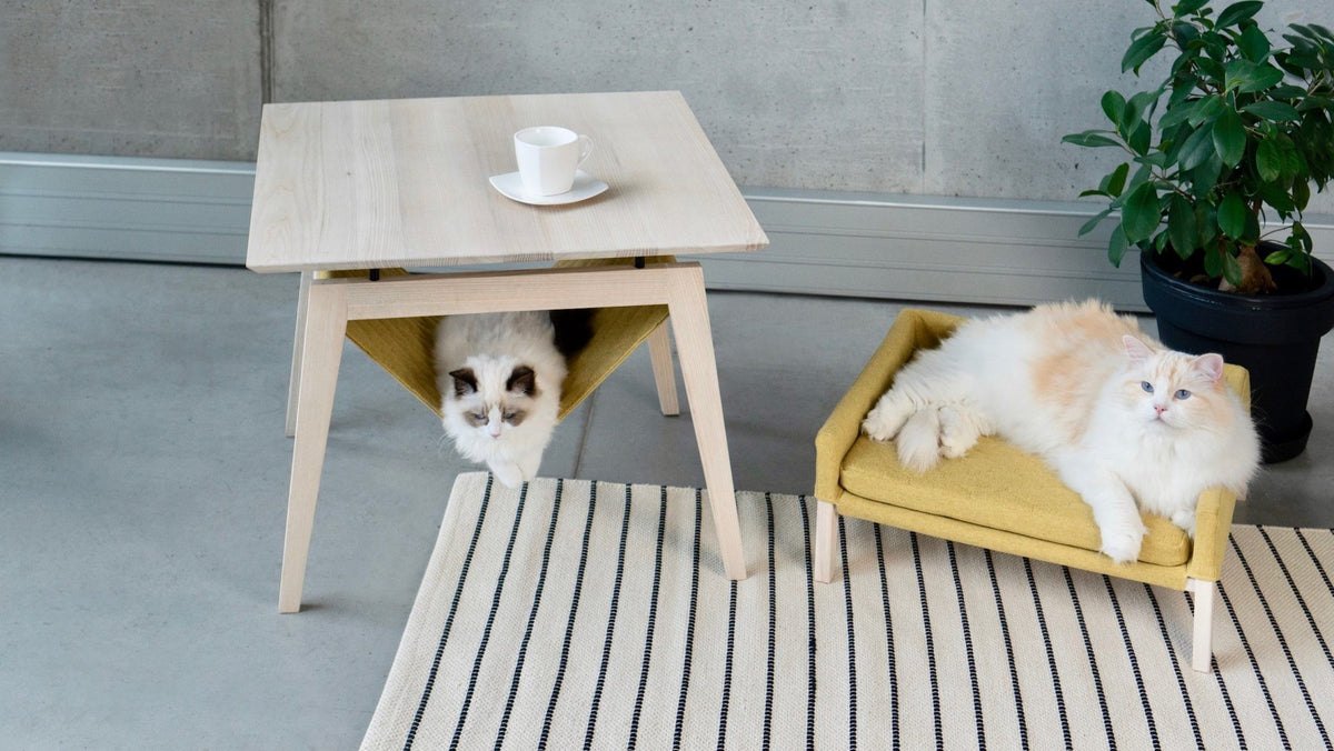 Lulu Katzenbett in Honig unter Kikko Design-Tisch
