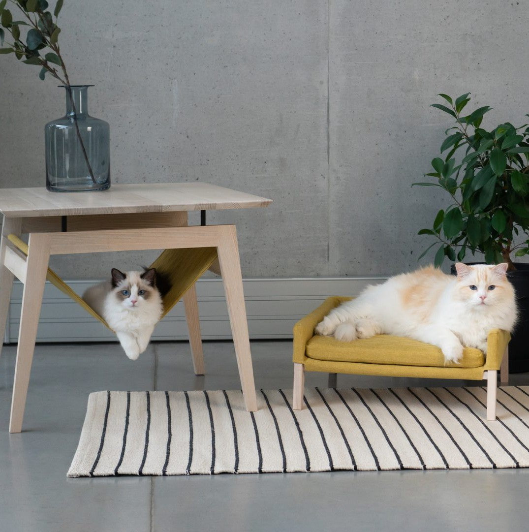 Kikko Tisch und Lulu Katzenbett in Honig – Gesamtansicht