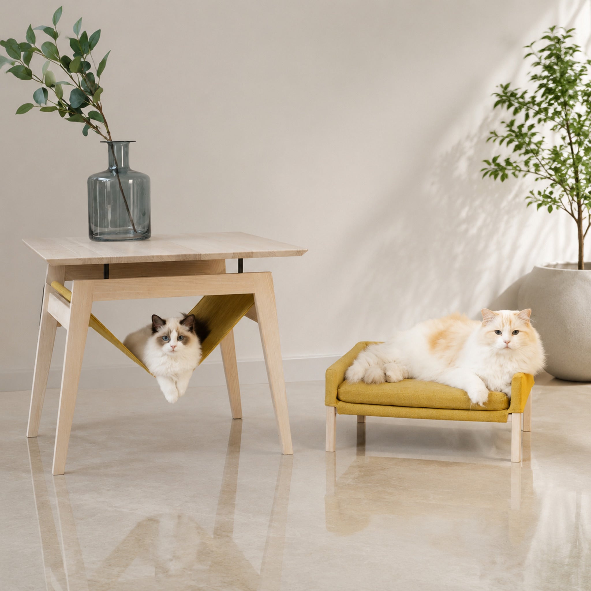 Kikko Tisch & Lulu Katzenbett – Honig – Premium Studioaufnahme auf reflektierendem Boden