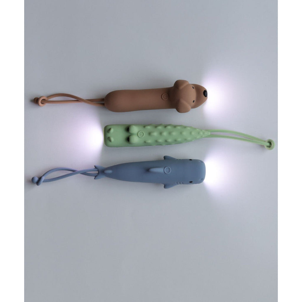 Kinder-Taschenlampe Hund Buddy – Anwendung 6