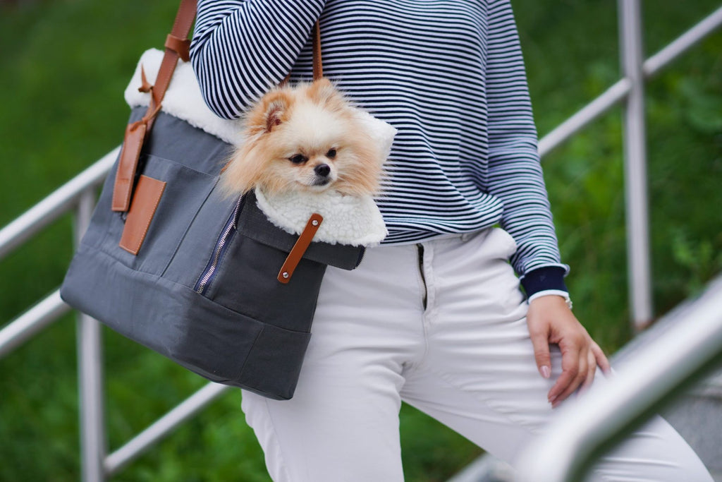 Liiva graue 2-in-1 Hundetasche – Innenansicht