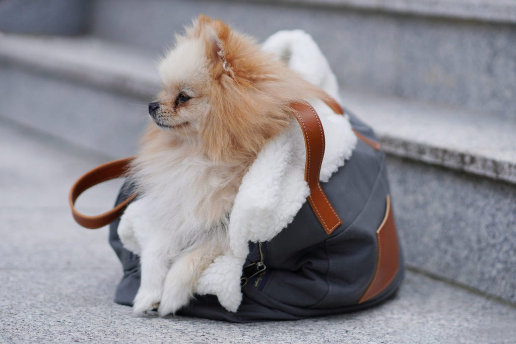 Liiva Hundetragetasche Grau mit weicher Einlage