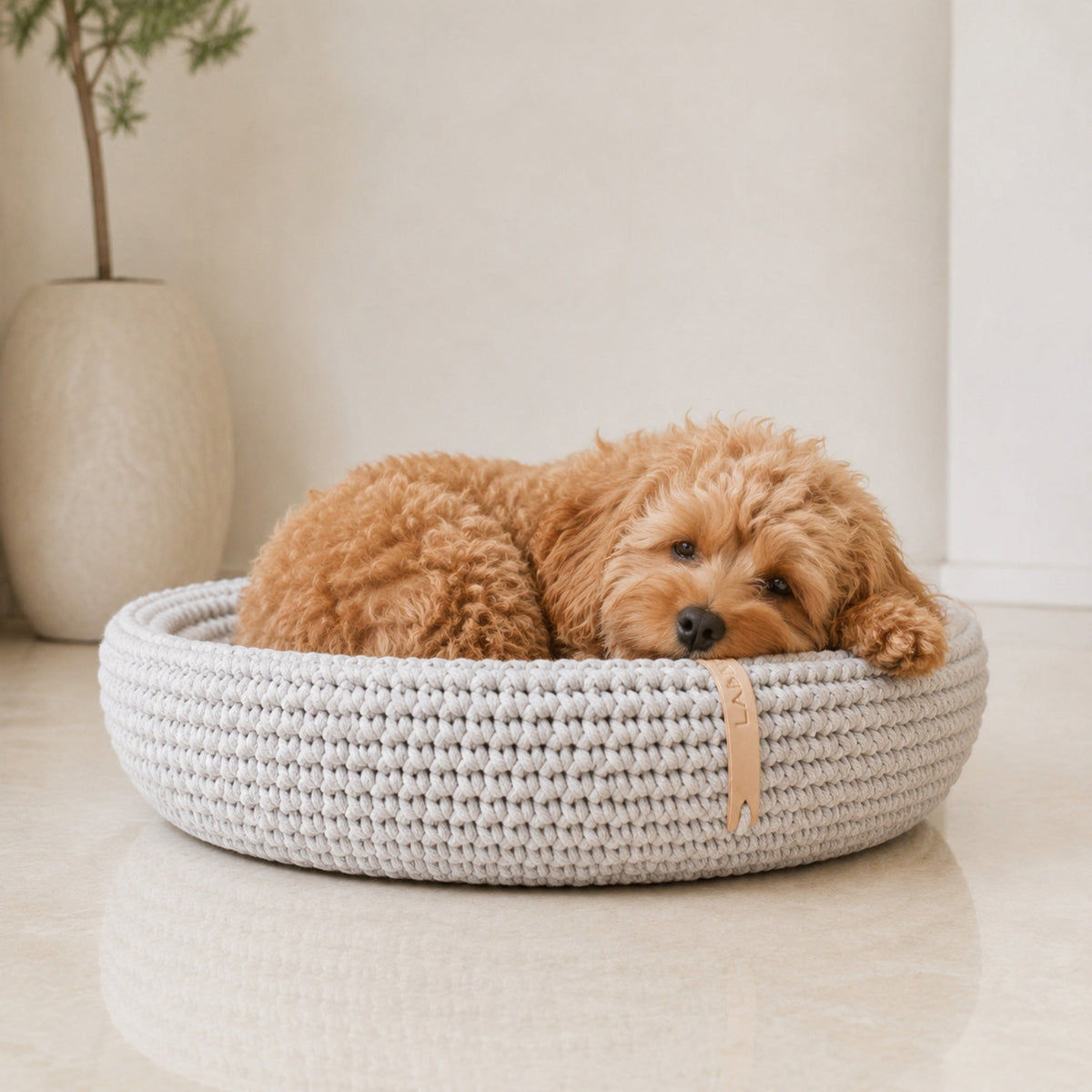 Lukko Hundebett in Hellgrau mit Cockapoo im hellen Premium-Studio