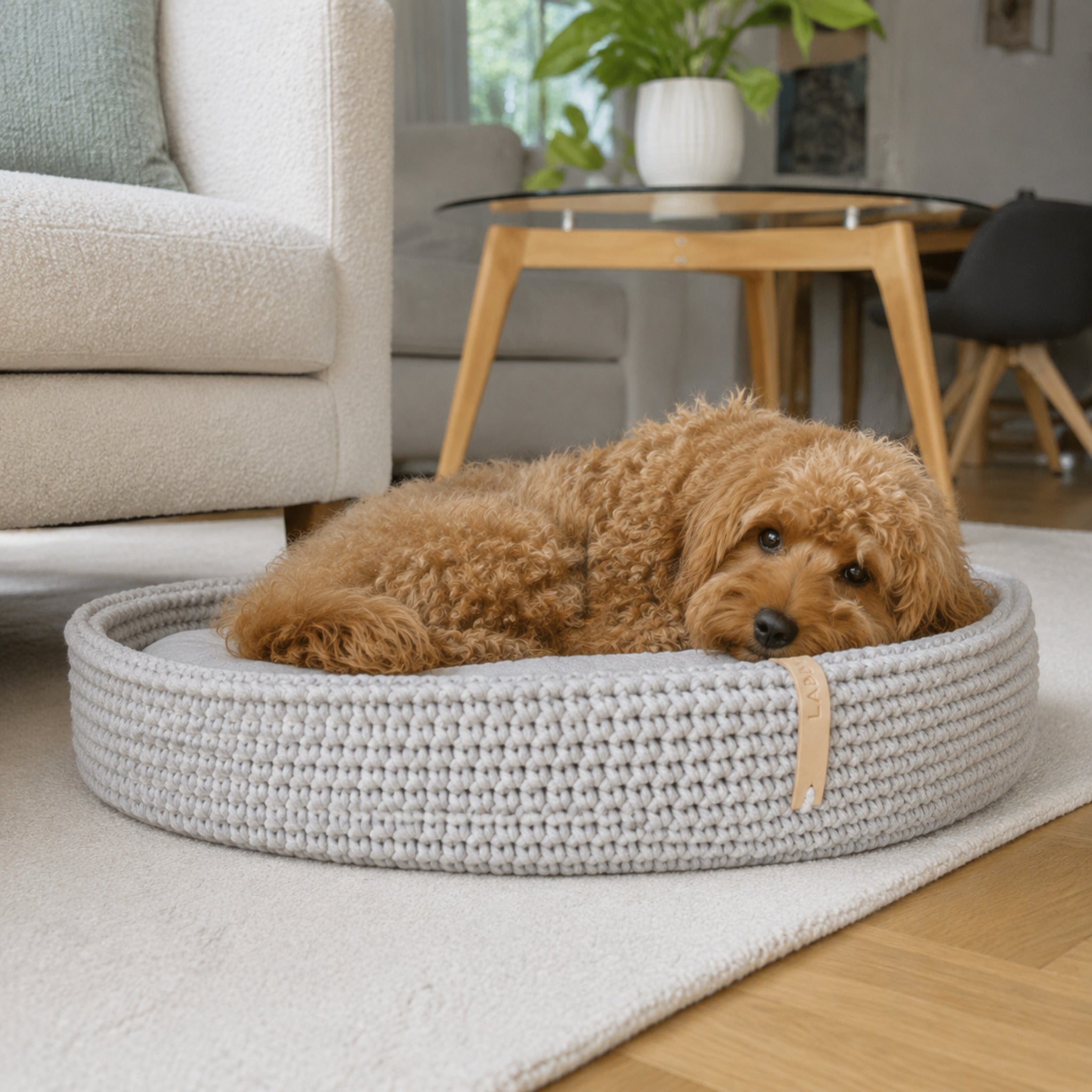 Hellgraues Lukko Hundebett mit kleinem Hund im modernen Wohnzimmer