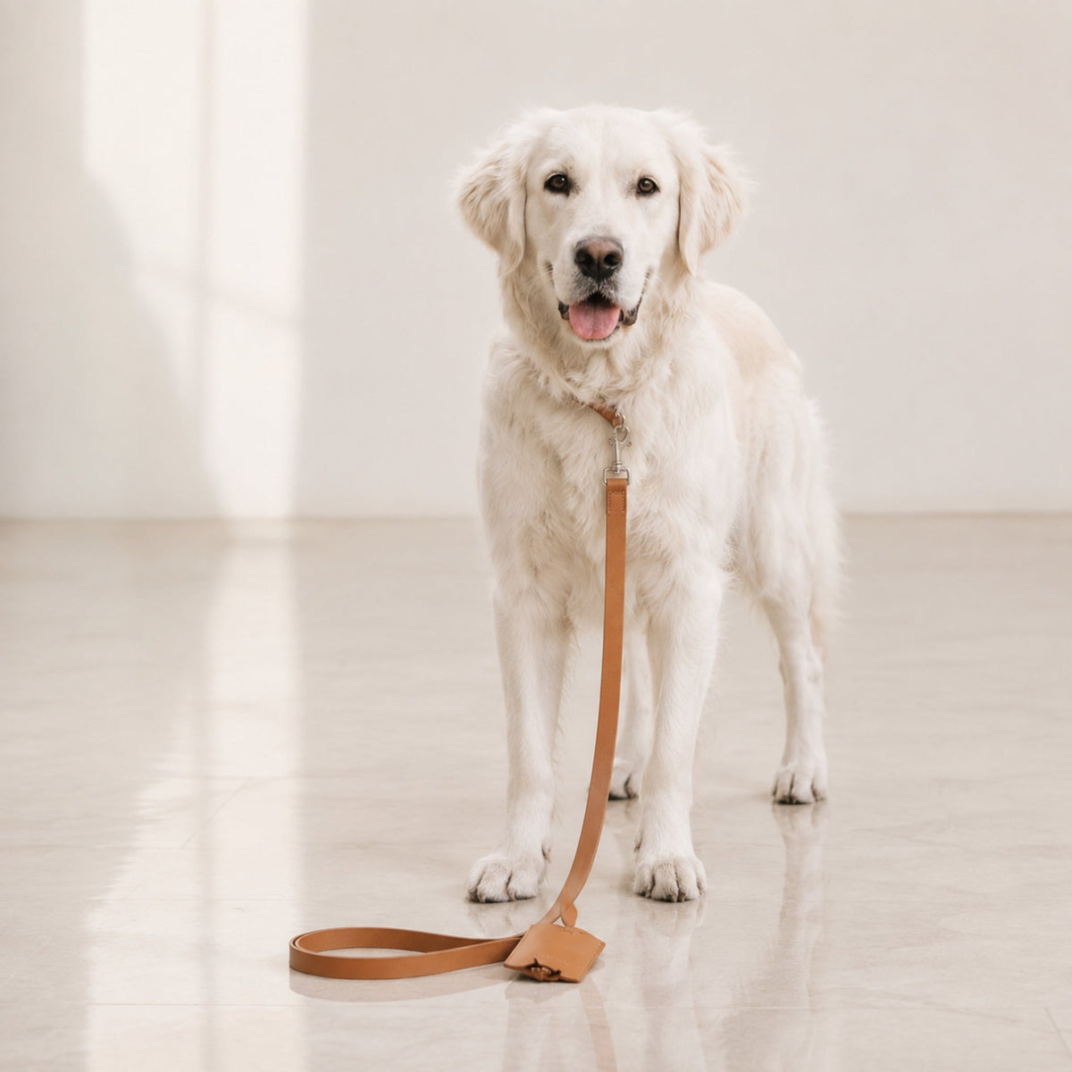 Lussa Lederleine Camel mit Golden Retriever – Premium Produktfoto