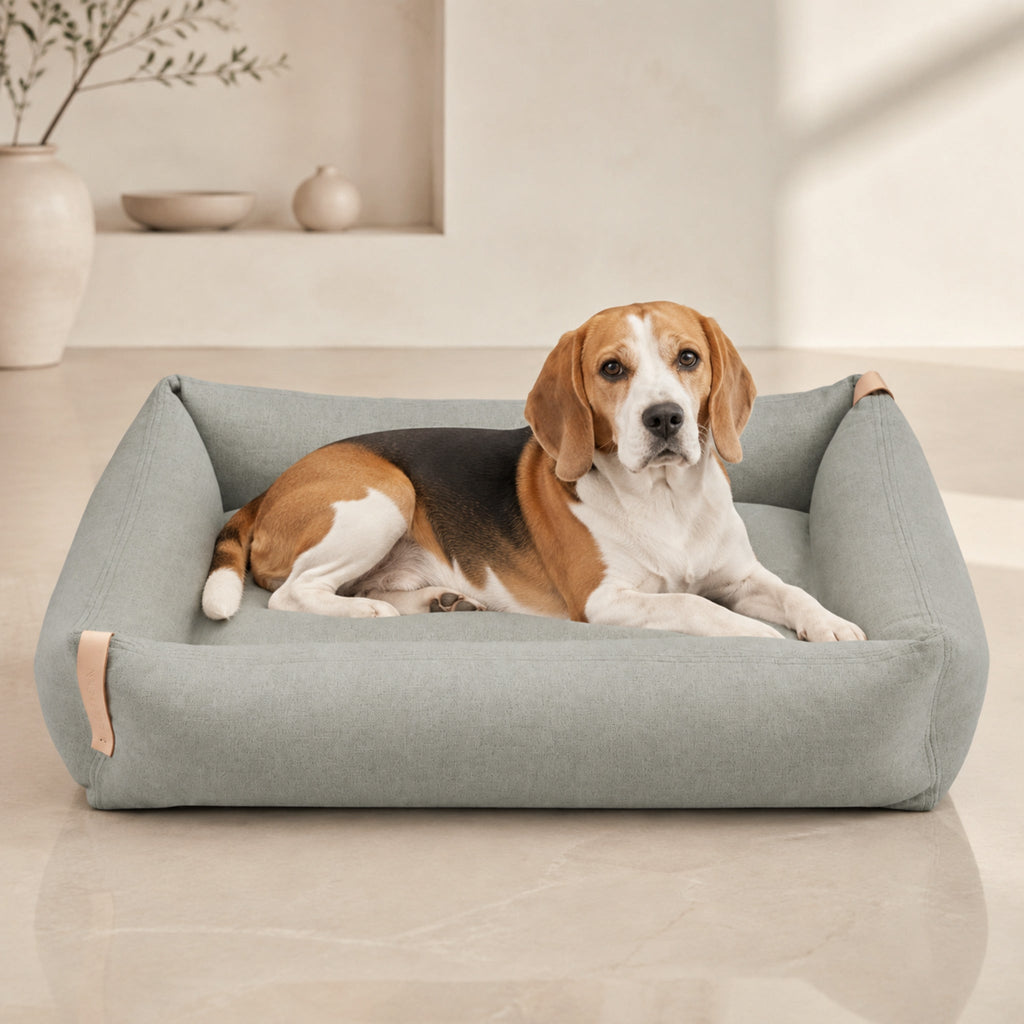 Moe Hundebett Grau mit Beagle – Premium Produktfoto 2048x2048