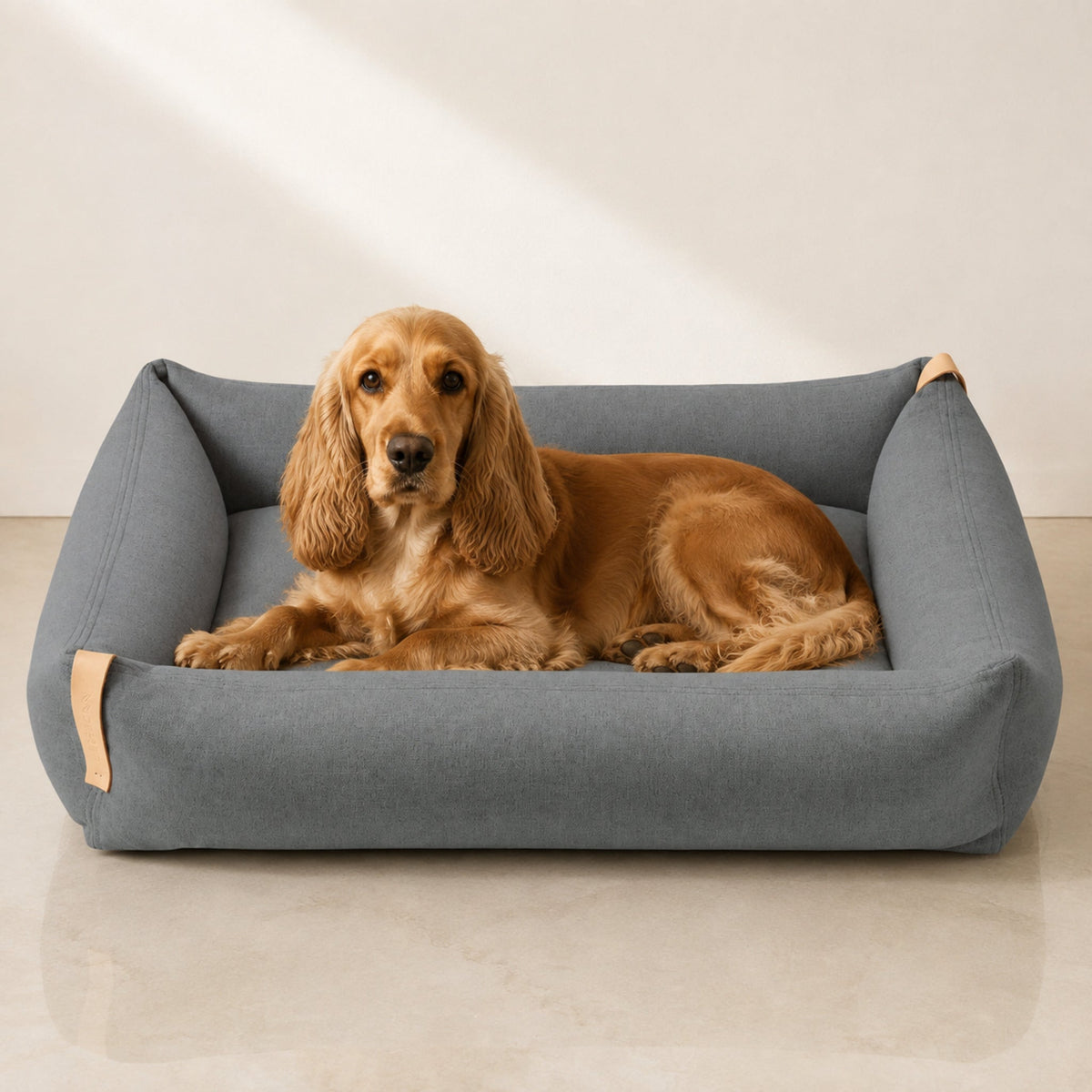 Moe Hundebett Hellanthrazit mit Spaniel – Premium Produktfoto