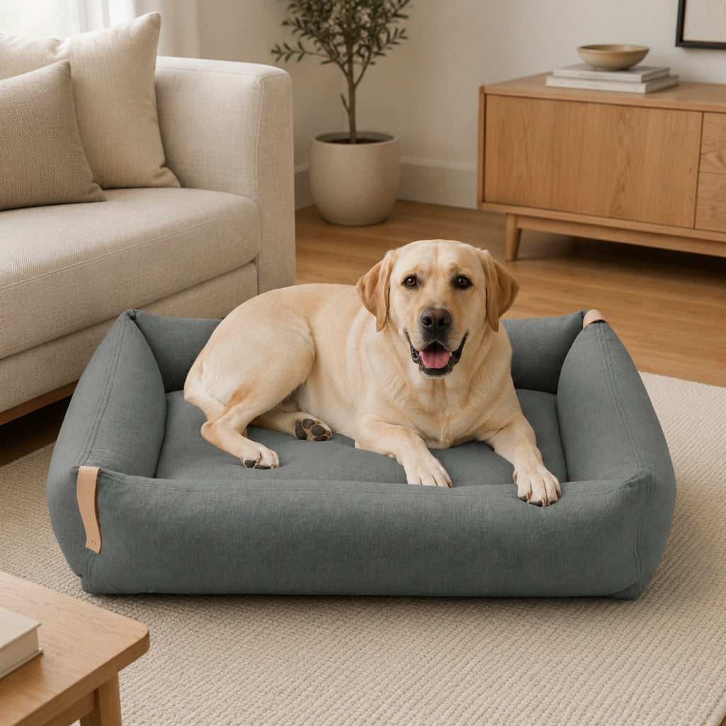 Moe Hundebett Hellanthrazit mit Labrador im Wohnzimmer