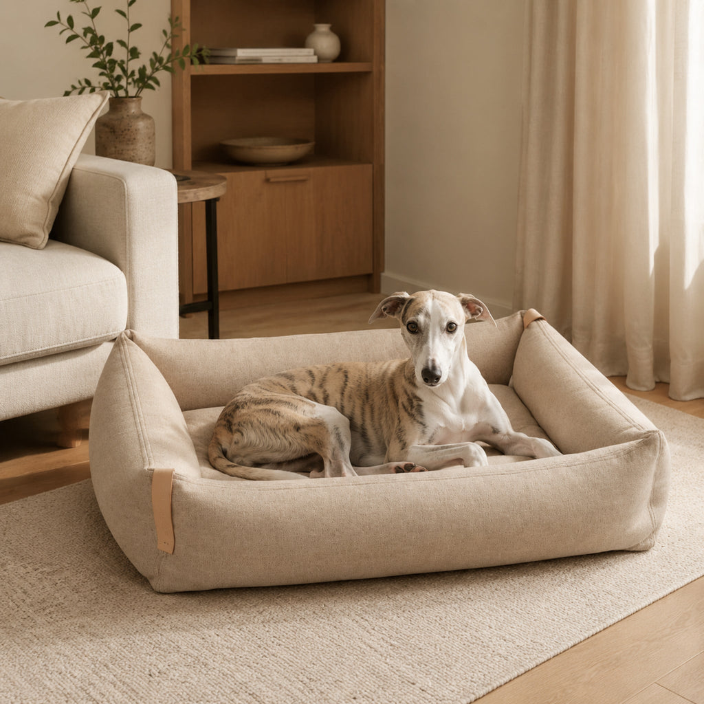 Sandfarbenes Moe Hundebett mit Whippet im modernen Wohnzimmer