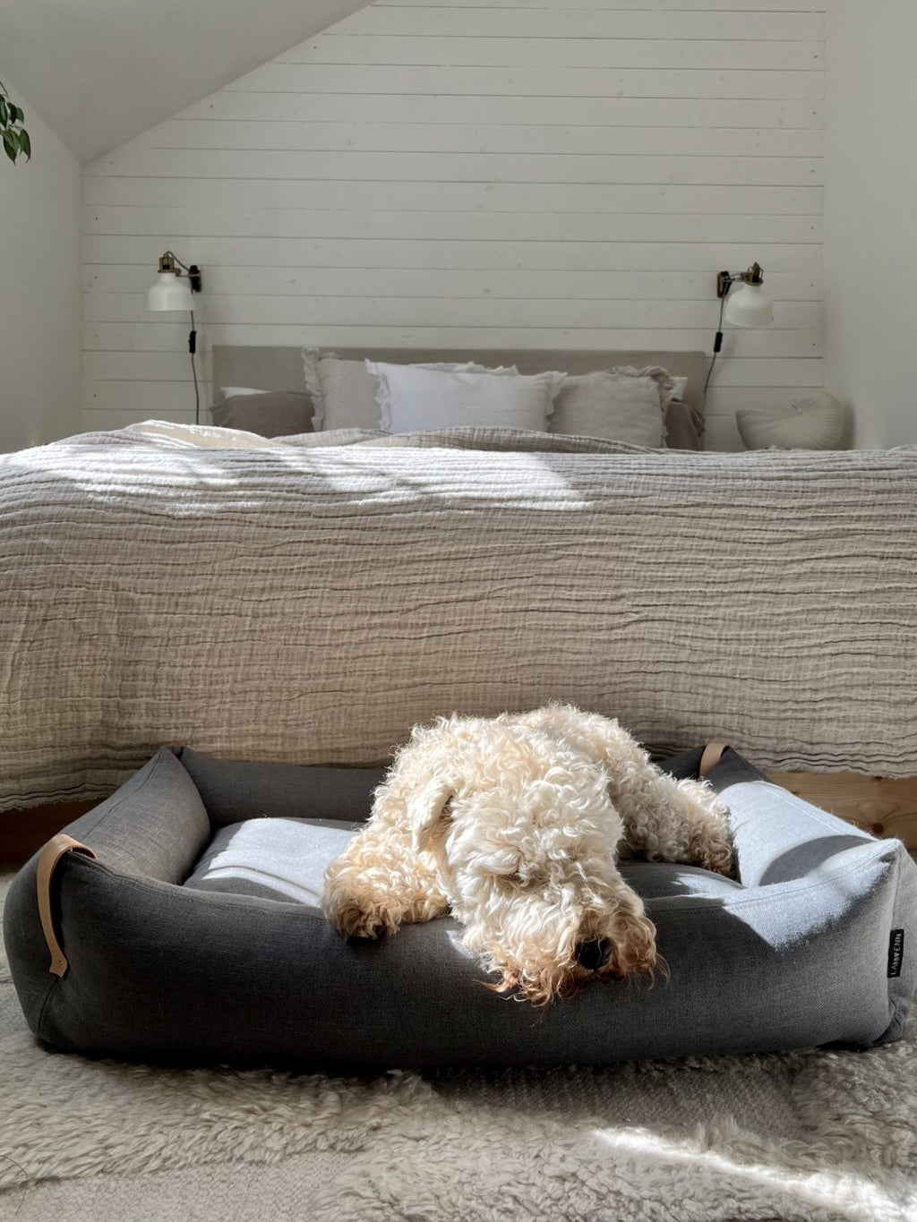 Moe Hundebett Hellanthrazit – Detailansicht
