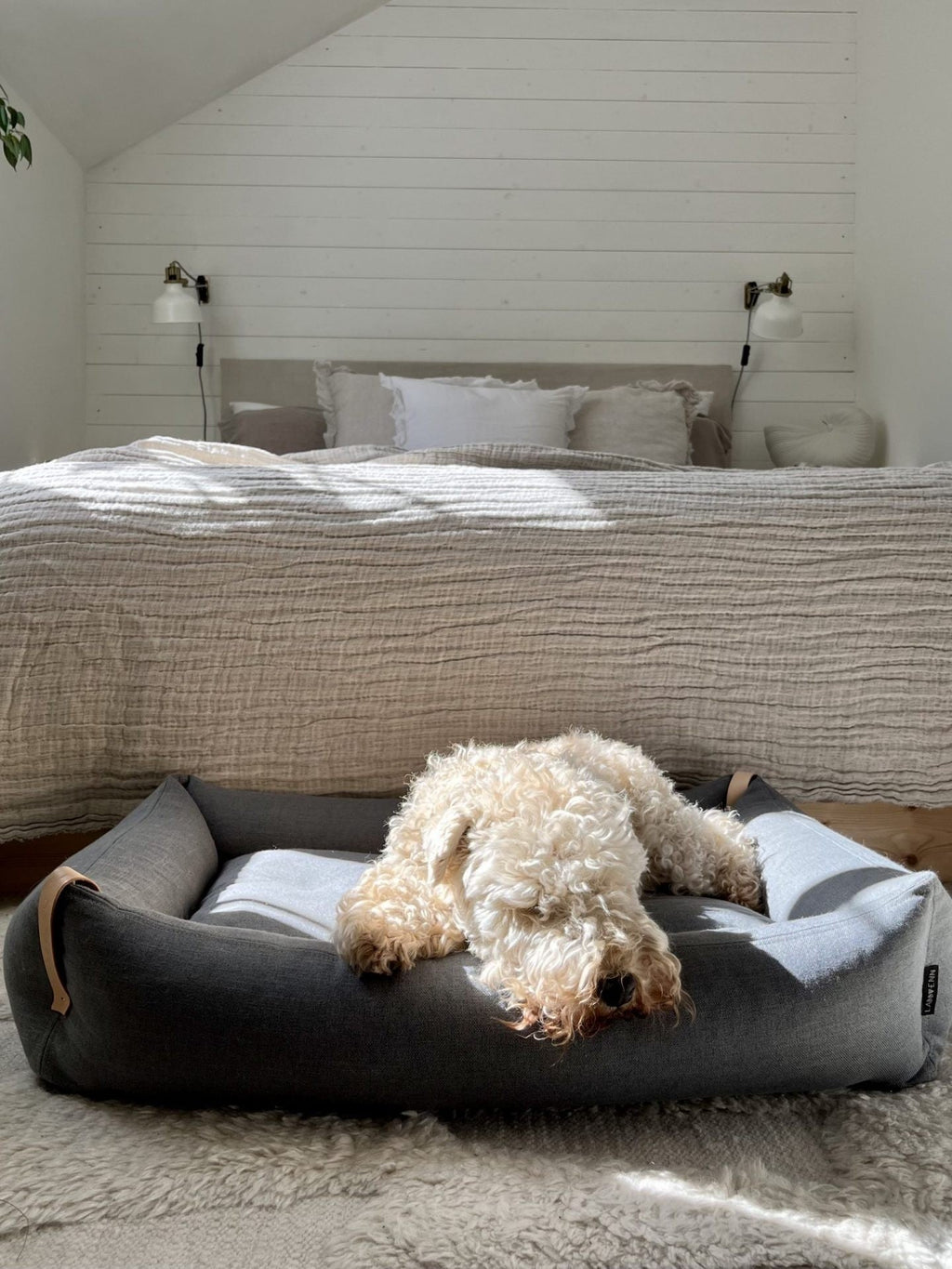 Originalbild Moe Hundebett Hellanthrazit – Ansicht 2