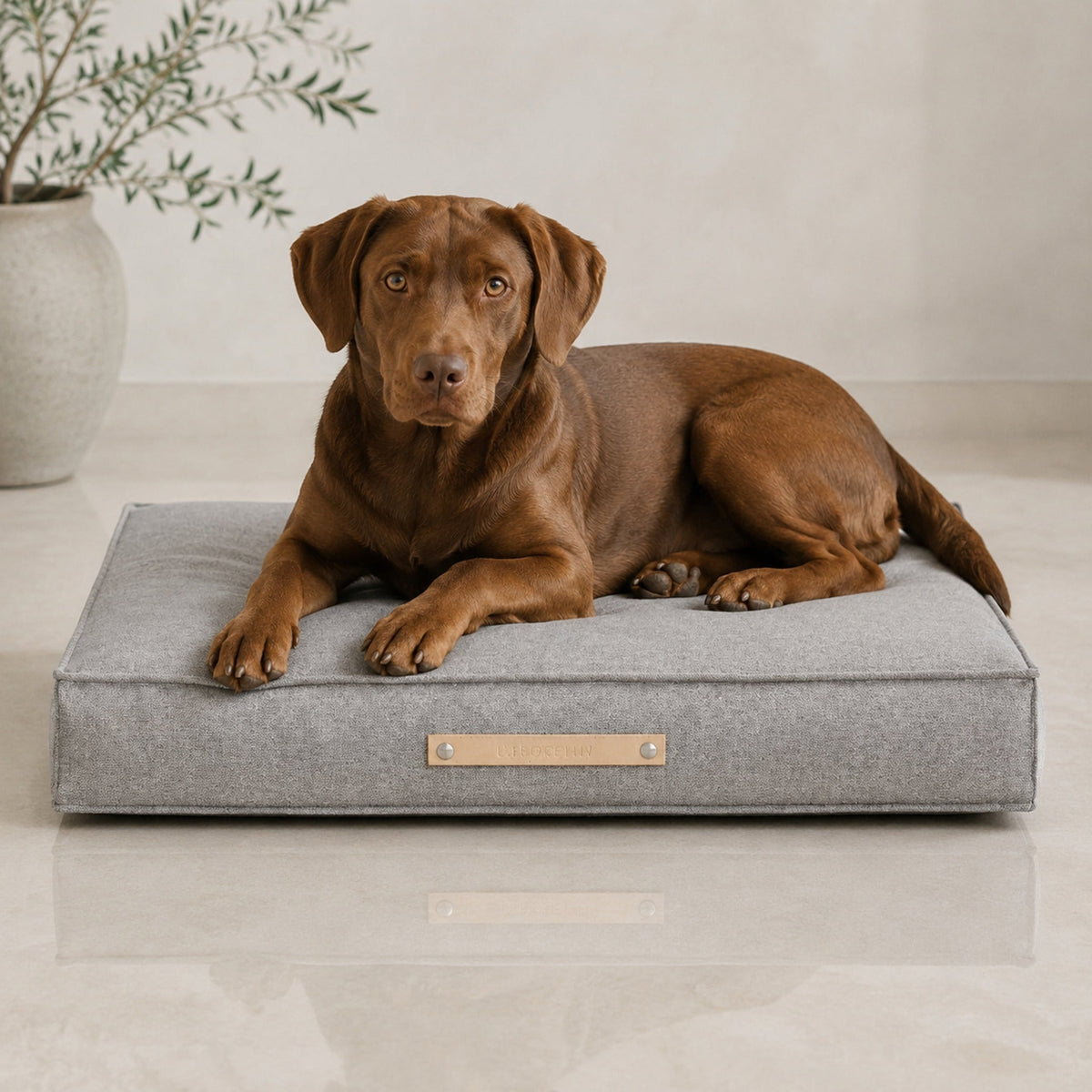 Møvik Hundekissen – Grau – Premium Studioaufnahme auf reflektierendem Boden