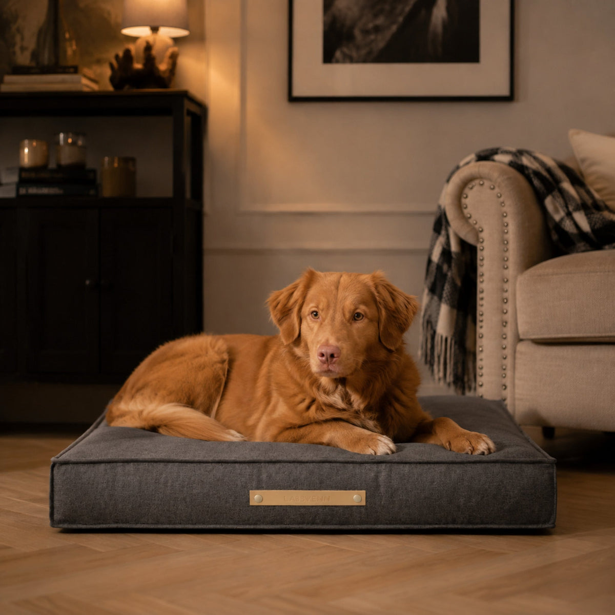 Møvik Hundekissen – Hellanthrazit – Elegante Wohnszene mit Haustier