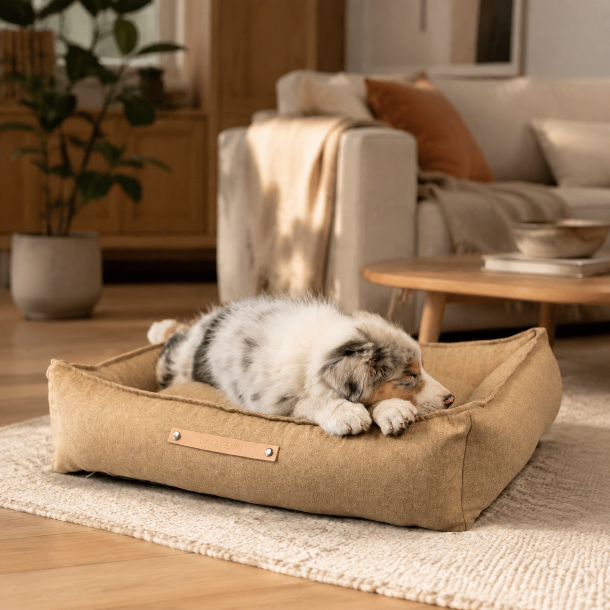 Møvik Hundebett – Biskuit – Elegante Wohnszene mit Haustier