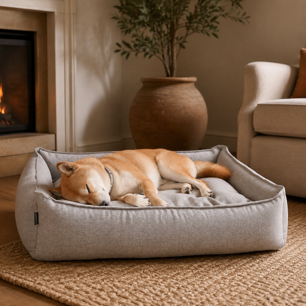 Møvik Hundebett – Grau – Elegante Wohnszene mit Haustier